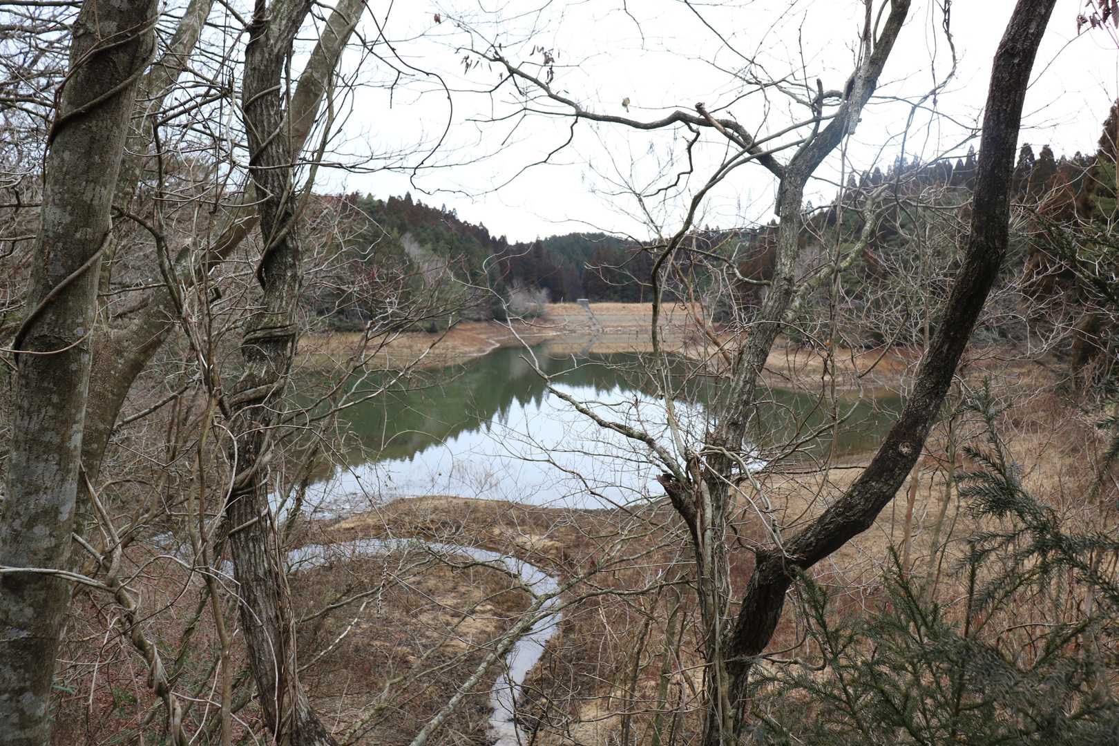 池の水は少ないようだ。