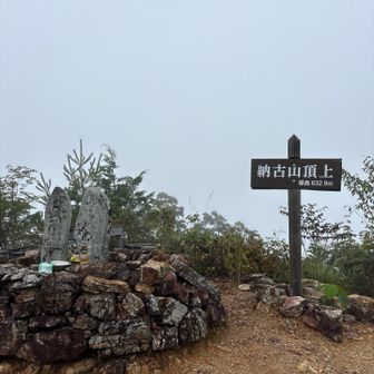 真っ白