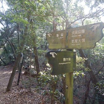 駒ヶ林分岐です
石段を登ります