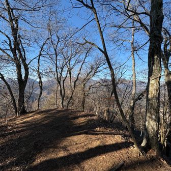 ガンバ沢ノ頭（標高890） 通過

右の木に手書きのプレート
