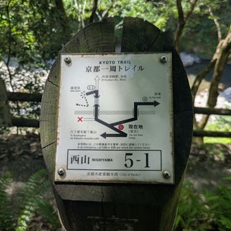 西山5-1