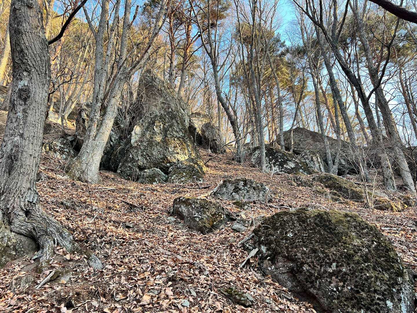 立石登山口-守屋山東峰 往復コースの写真