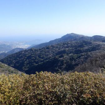 ピークが岩戸山。伊豆山神社や湯河原から登られる。
奥に真鶴半島
