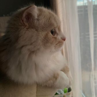 寺田むぎちゃん