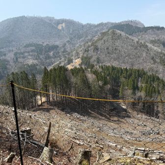 帰りもネットに阻まれる
