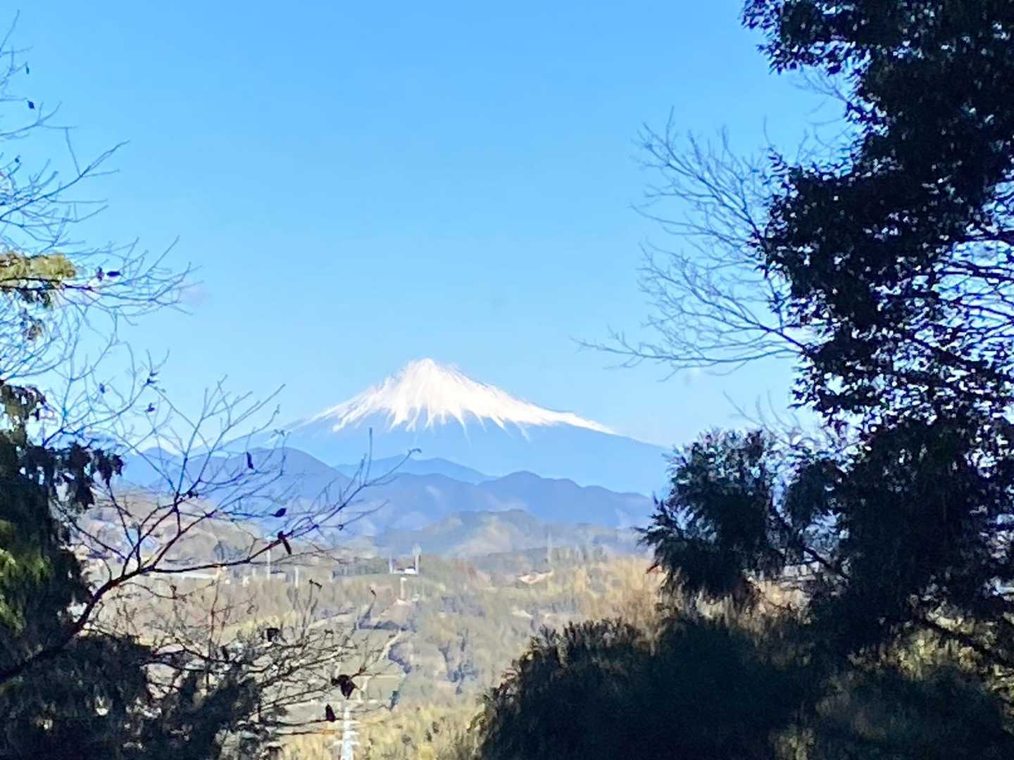 きれい🤩