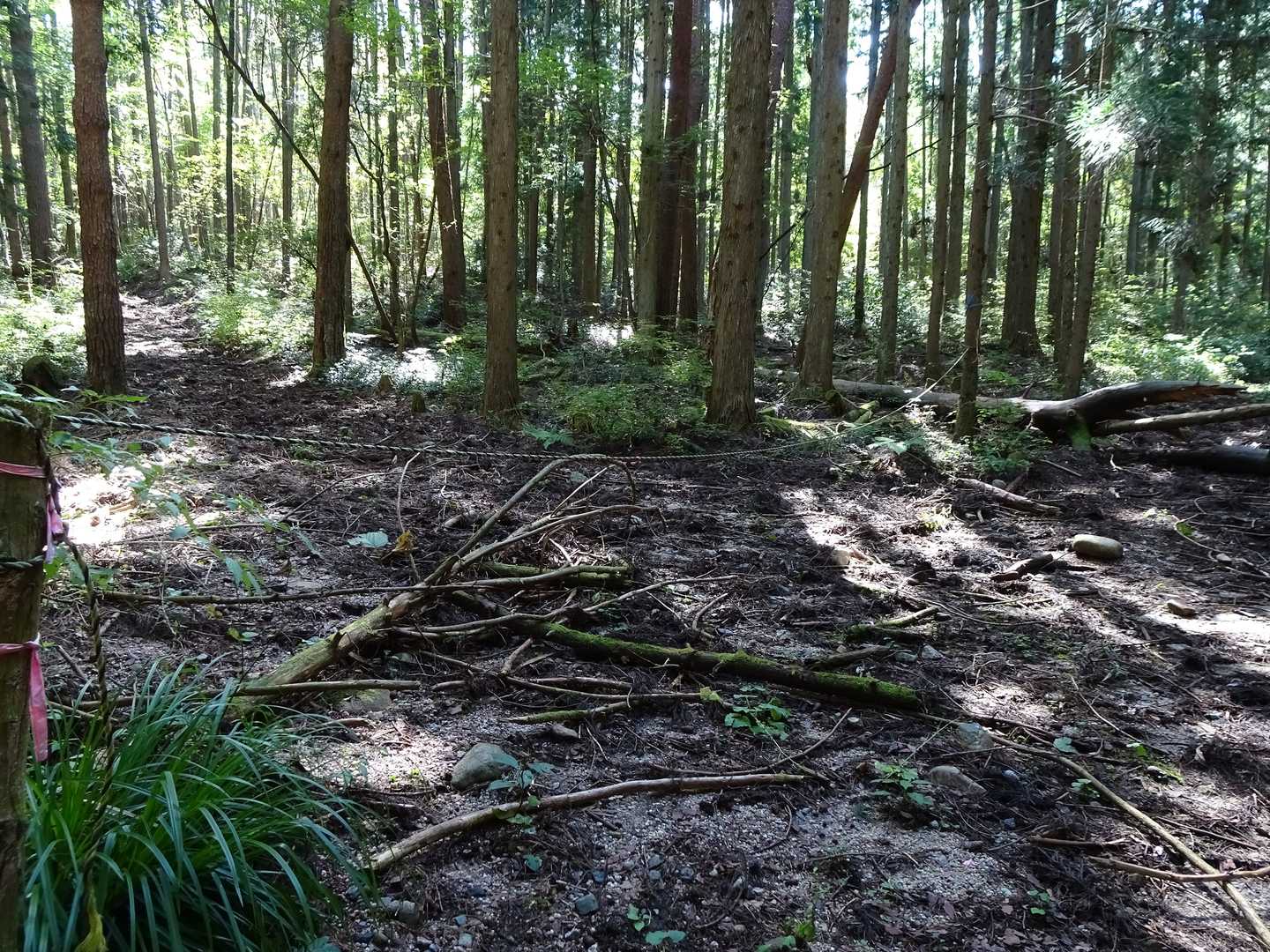 分岐？間違えやすい箇所はロープが張ってあります😃