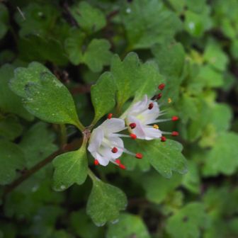 ｶﾜ(・∀・)ｲｲ!!