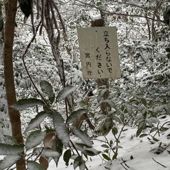 ここにも宮内庁の管理地がありました！
横倉山でも見たばかりで、勝手に縁を感じちゃった