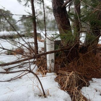 あった！こんな人工物の上が三角点