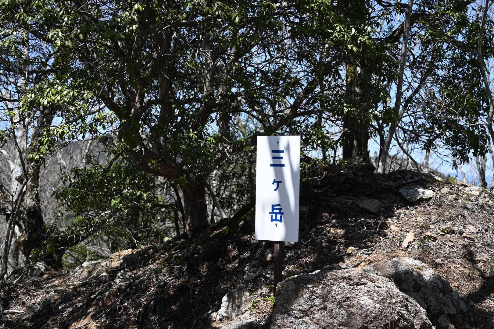 十二ヶ岳登山道入口-ミネ山-毛無山-十二ヶ岳-桑留尾登山口 縦走コースの写真