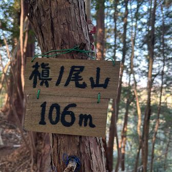 グレピとうちゃ！