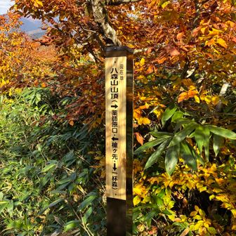 八森山山頂