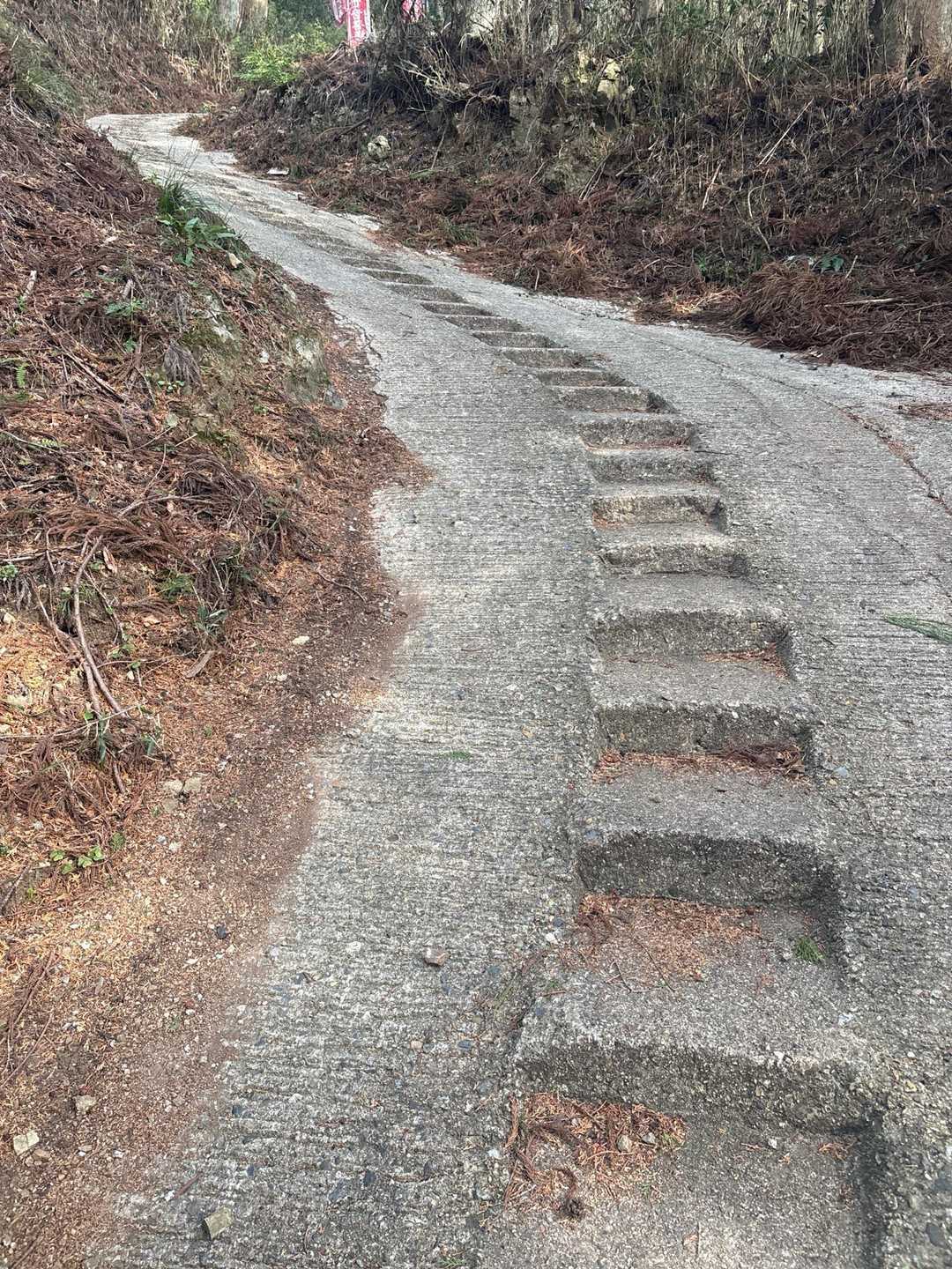 一番の急坂には階段あり‼️
