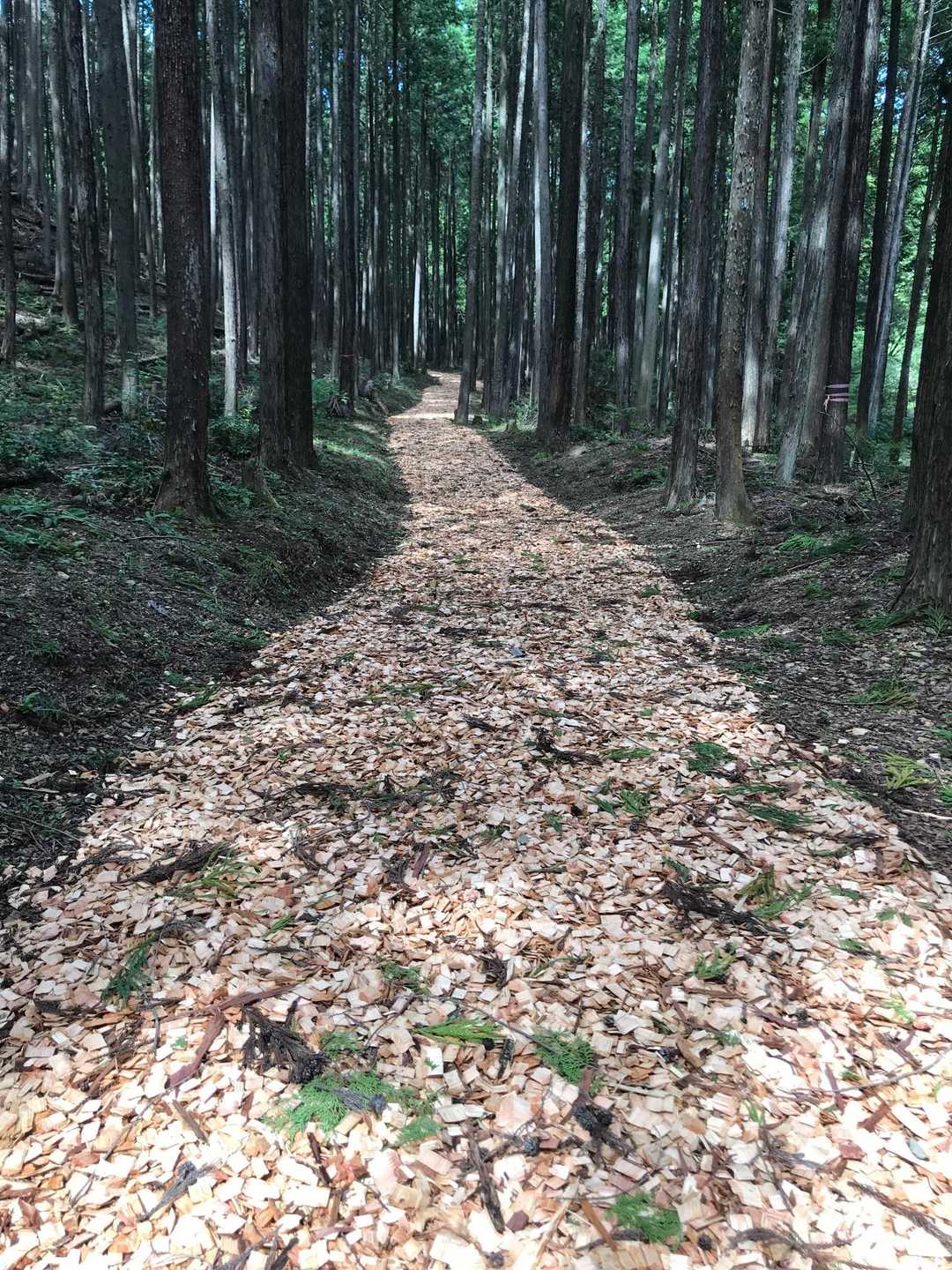 どこまでも続くよ〜