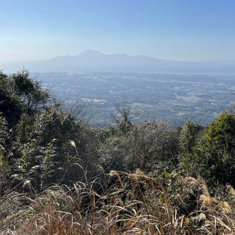 またも普賢岳、薄！