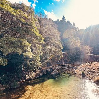 あんなに寒かったのに