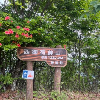 急登を登るとすぐ西山頂