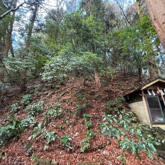 取付き
こちらから
登り上げる