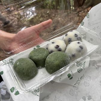 有名な和菓子屋さんの大福
これを買っていたせいで遅刻したらしい
美味しかったから許した