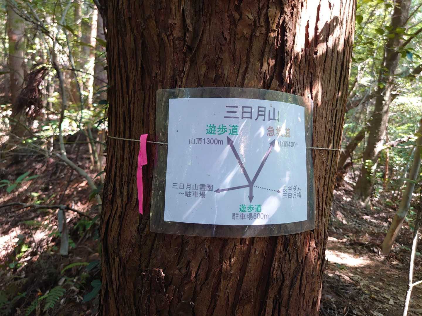山頂まで400mの急坂と、1300mの遊歩道があります。今日は嫁さんも一緒なので遊歩道で