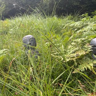  大知波峠まで戻ってきた
富士見岩からここまでの間、下草を刈ってくれてた  
早くココも刈ってもらえるといいね