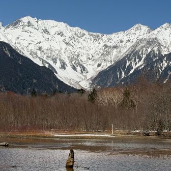 何度も撮影
見納めて帰ります
