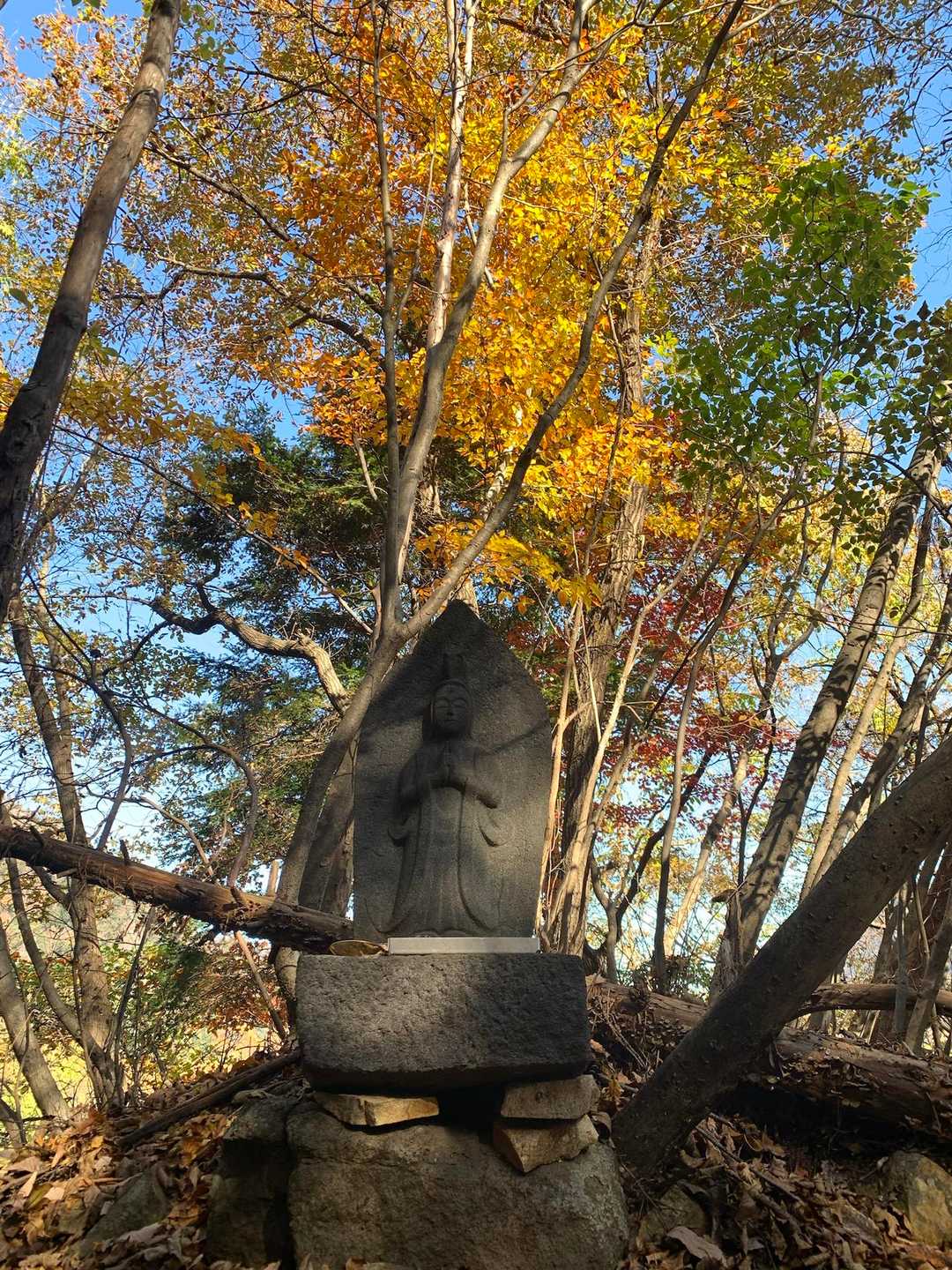 お久しぶりです🙏