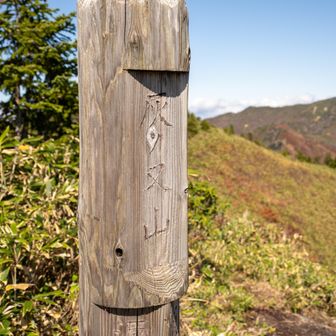 灰ノ又山
沢が有名らしい