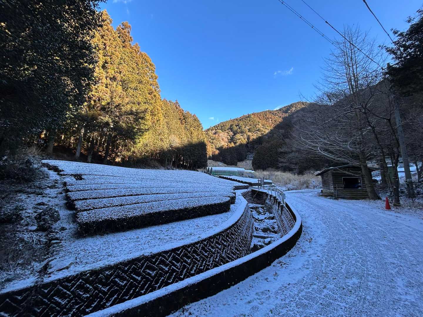 結構降ったんだ。