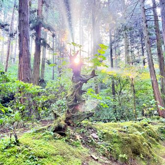 アイスブレイク