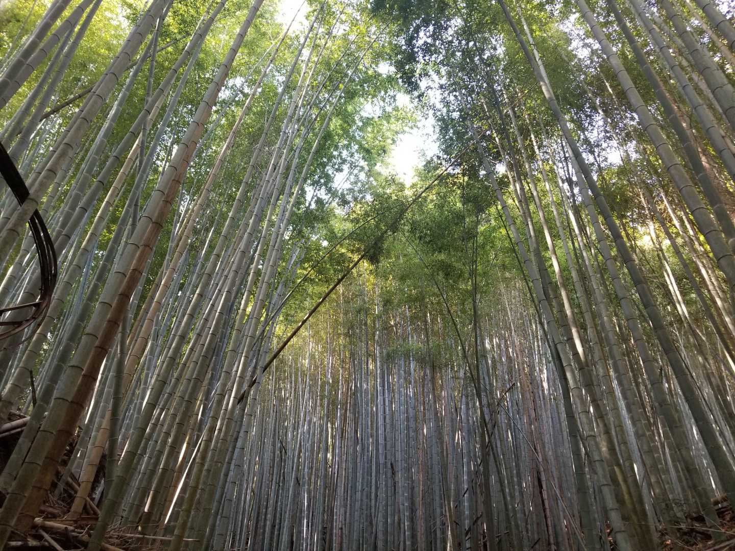 山に入って直ぐ
綺麗だ✨