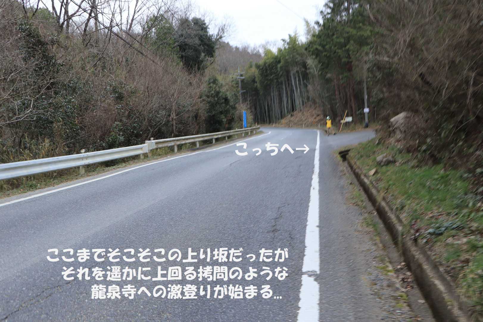 画像のとおりです💦
こっからがある意味一番の難所だった
そして奴が...降臨する☔