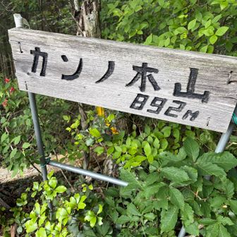 お久しカンノキ⛰️