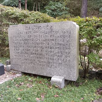 重巡洋艦摩耶のことが書いてるにゃ