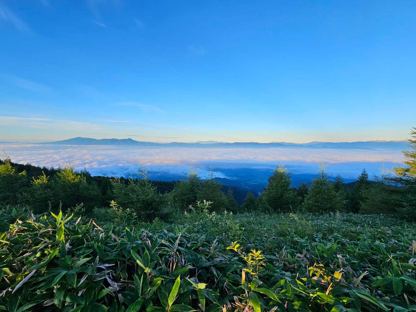 烏帽子岳登山口-小烏帽子岳 往復コースの写真
