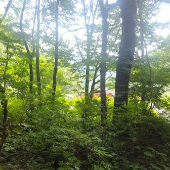 疲れました