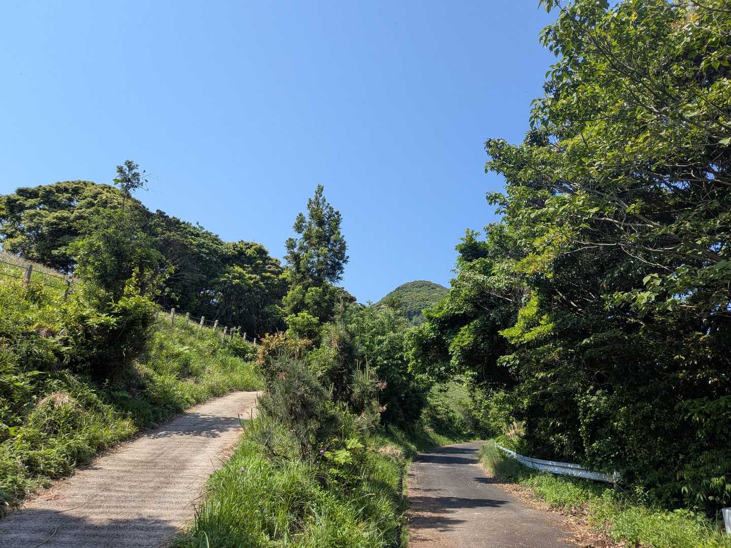 番岳 登山口-番岳 往復コースの写真