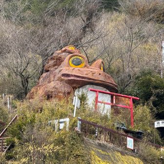 下山は迷わずロープウェイ🚡で、安全第一！
山麓のつつじケ丘駅には、でっかいガマ大明神様！
つくばとガマ油には所以があるらしい