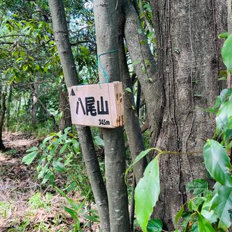 プレートの位置が変わってた。
この写真撮った後、YAMAPアプリが落ちた模様😩GPS取れてません😆