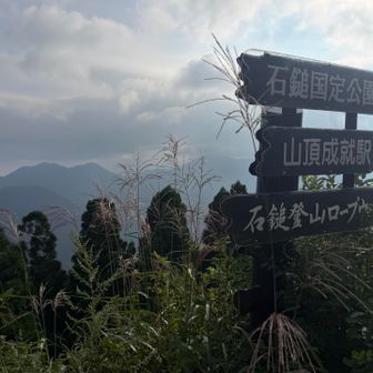 ススキ