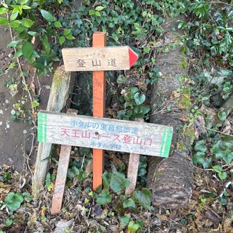 コースを進む🚶‍♀️⭐️🍄