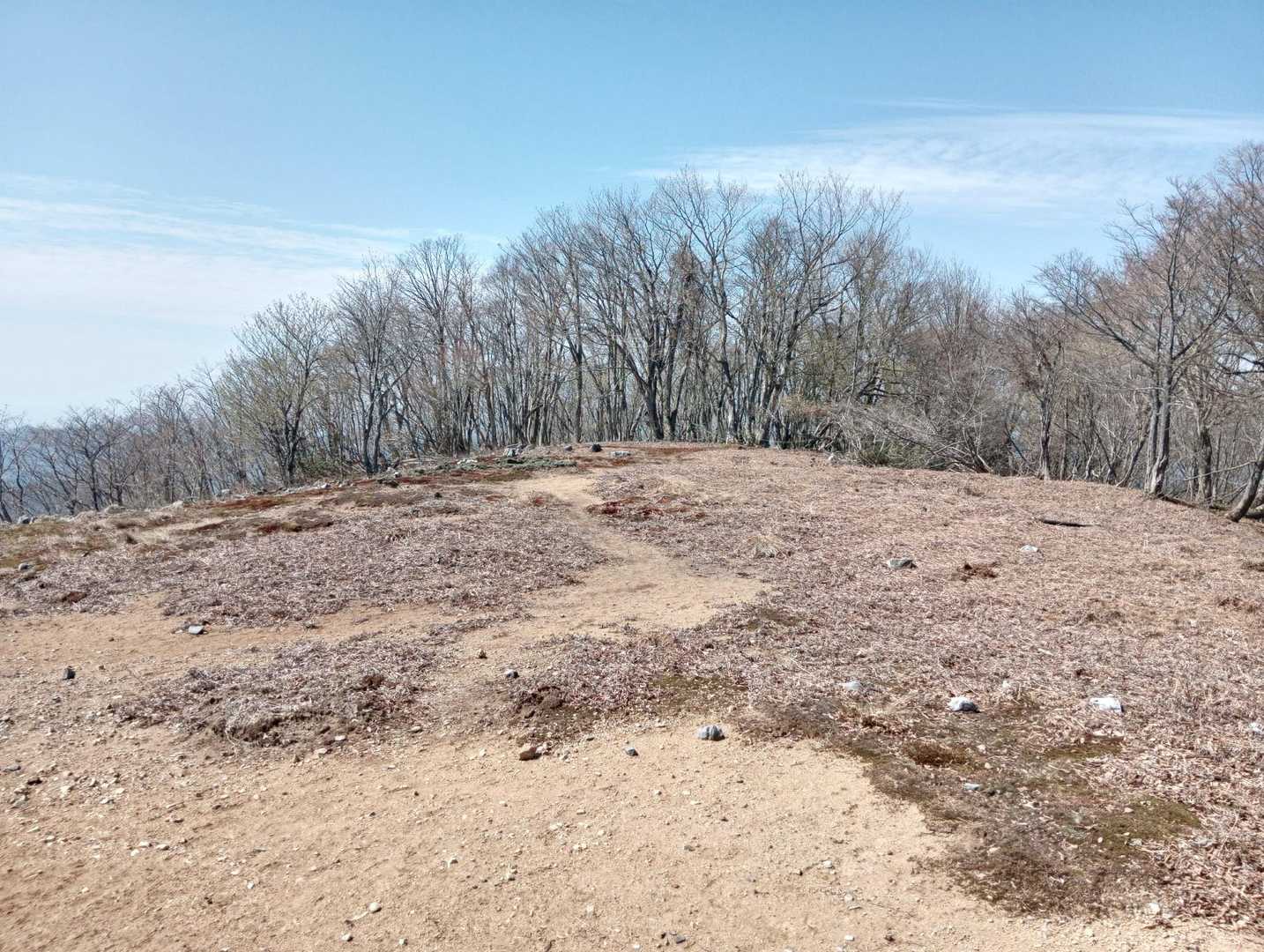 山頂からピストンで下山🚶