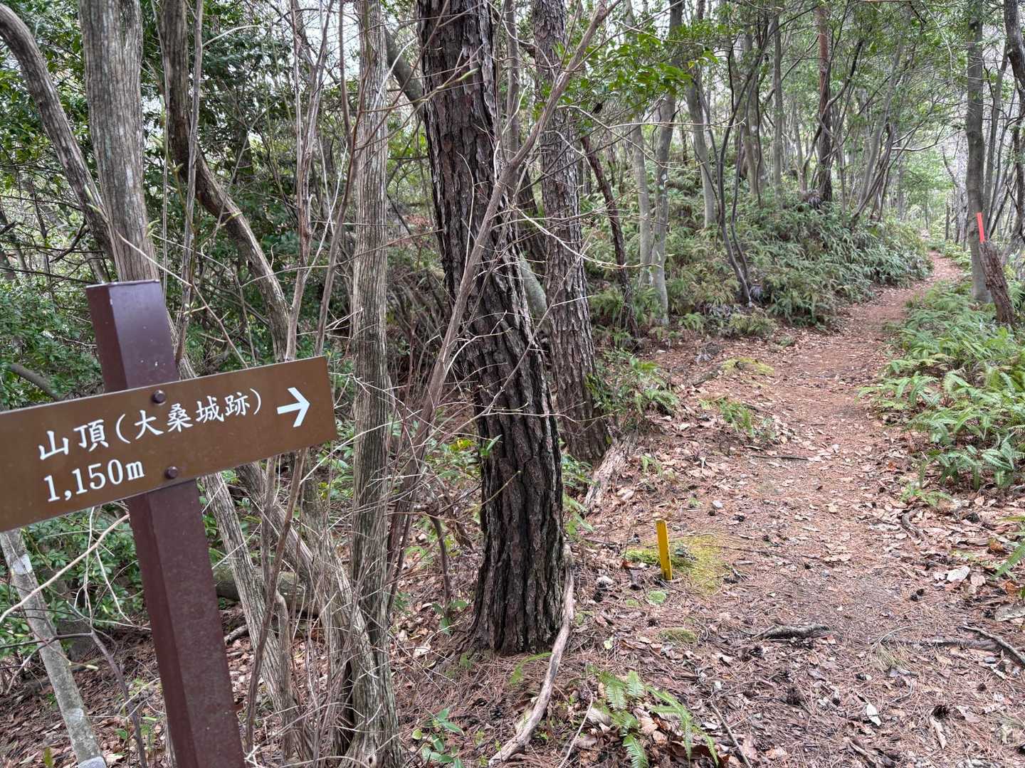 看板多め。キレイで見やすい。道もきれい。