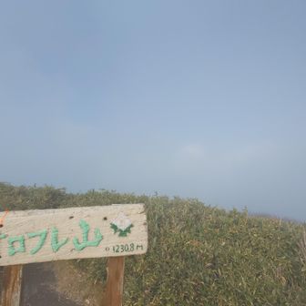 驚きの白さ。