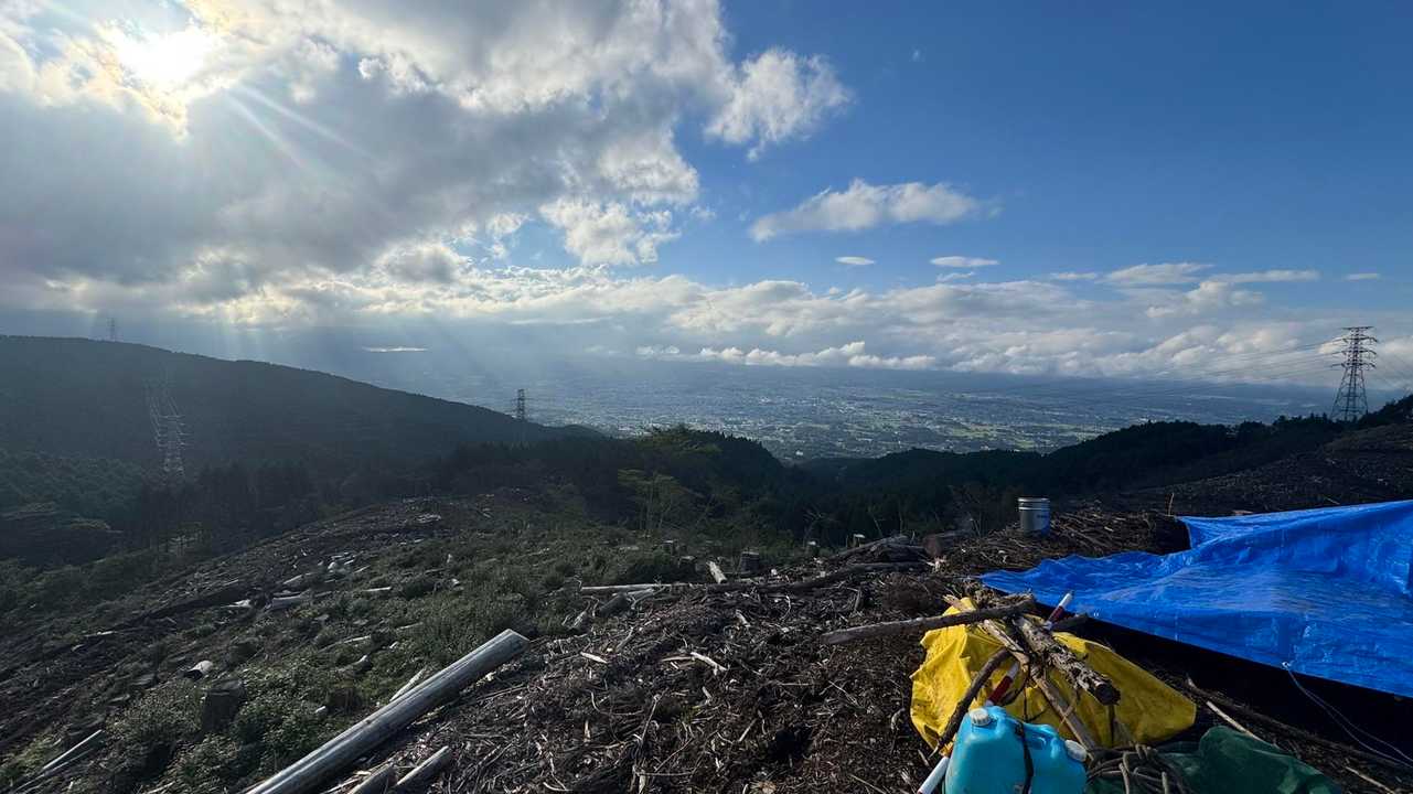 富士山は見えず