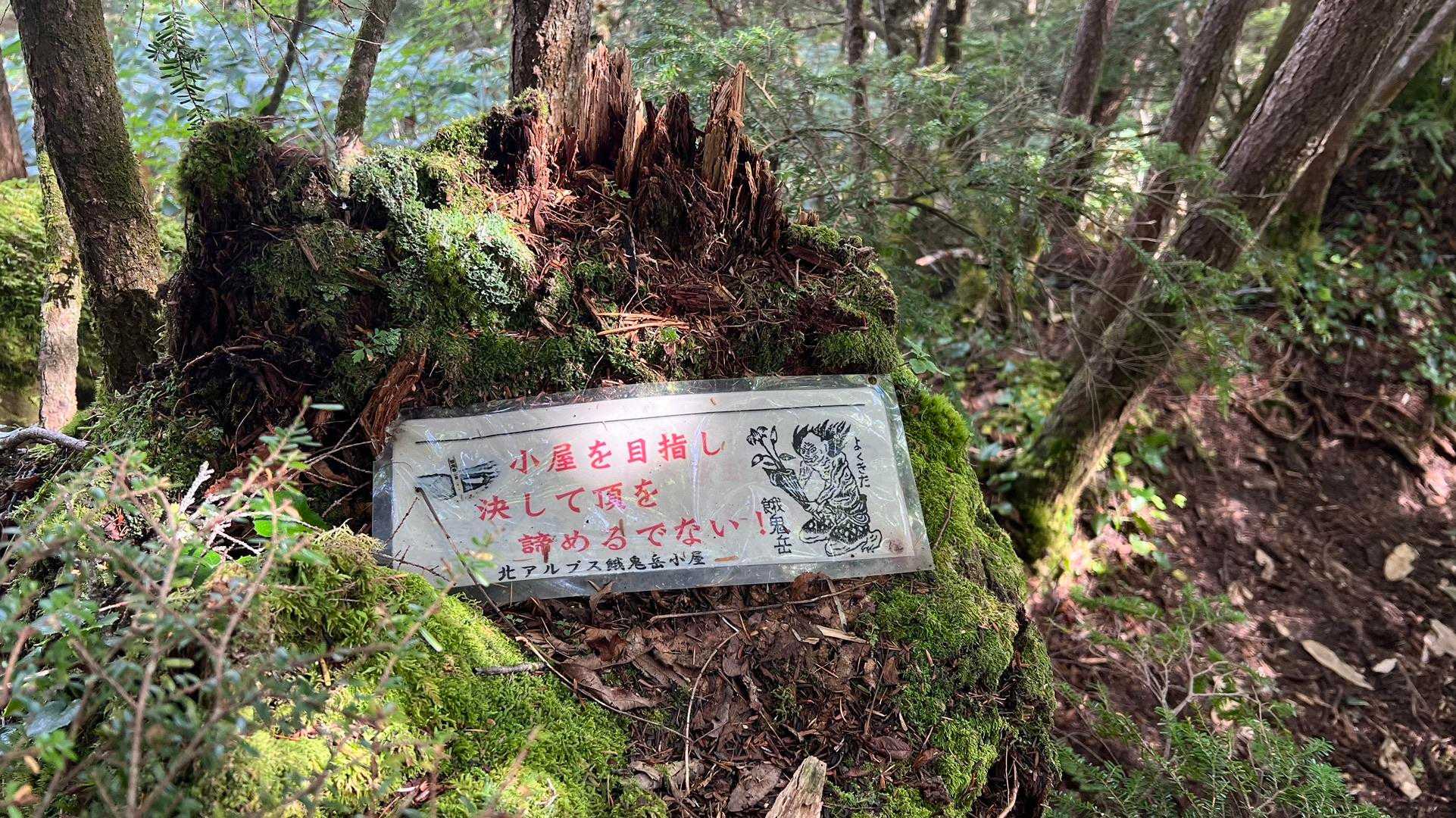白沢登山口-大凪山-餓鬼岳-餓鬼のコブ-唐沢岳 往復コースの写真