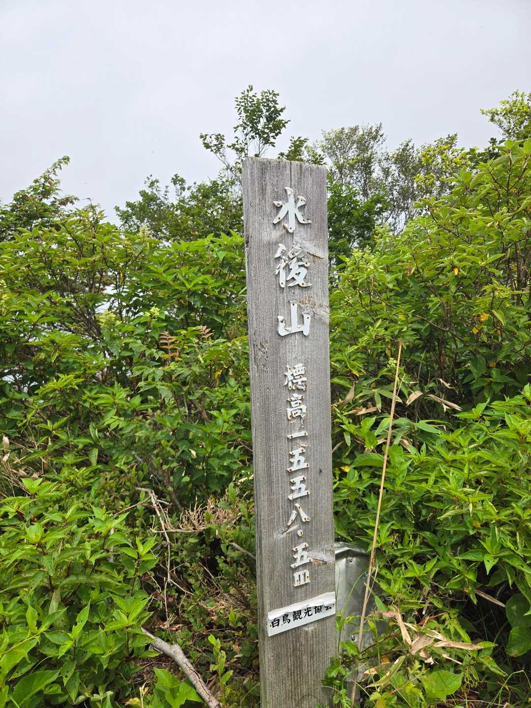水後山(すいごやま)到着

このまま進みます。
