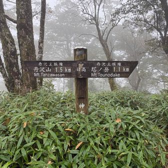 日高
この案内標識のみ