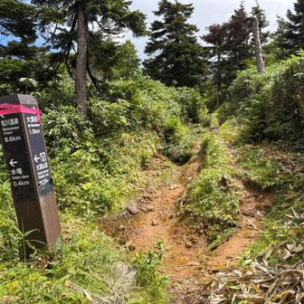 大深山荘に戻って、源太ヶ岳へ。